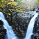 사이프러스 골프&리조트 휴양콘도미니엄 | 무주 덕유산cc 골프장 후기｜전북 무주 리조트 라운드 코스·숙소·가격 완벽 정리