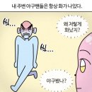 NR-22[동주로]-하-105 | 대전 한화생명볼파크 혼자 직관 후기 (2025년 9월 27일 한화:LG전 - 105구역 22열)