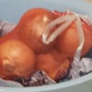 맘스식자재마트 이미지