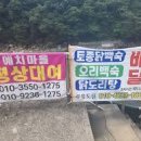 산청계곡 예치마을 평상 지리산 거림 내대계곡 출렁다리 이미지