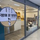 주방에 온 댕댕이 이미지