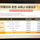 강원참숯 찜질방 | [강원] 파인리즈리조트 찜질방 '아젤리아' 내돈내산 후기