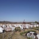 평화누리캠핑장 이미지