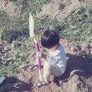 태균농장 Daum카페