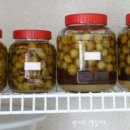 고려수지침 복현지회 이미지