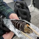 pet187어2465 | 강릉 묵호 1박2일 여행 코스 - 맛집 털기, 교동 소품샵 투어 🧸(옹막, 툇마루, 꾸옥, 중앙시장,강릉닭강정)