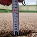 부산디지털고등학교 이미지