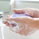 안녕 기린 이미지