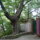 벽운동천 이미지