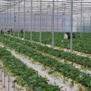 순창농장 이미지