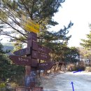 백양산 바람고개 이미지