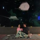 아쿠아워시대전산성점 | 대전 엑스포 아쿠아리움 1박 2일 물멍스테이 즐기기 (주차, 준비물)