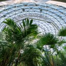 비로소, 겨울 하늘 이미지