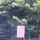 가야산장식당 이미지