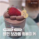 [공지] 아이와 함께 다녀온 보라동 희베이커 방문 후기