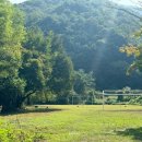 숲속통나무펜션 이미지