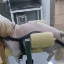 손수의과병원 이미지