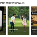 럭스파인드