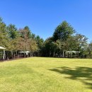 강아지숲 박물관 이미지