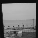 제부스카이모텔 이미지