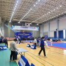 용인대 다한 태권도장 이미지