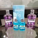 분당-216 이미지