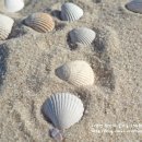 나팔꽃한의원 이미지