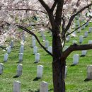 SJ 행정사사무소 이미지