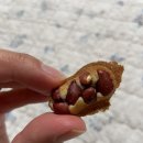 땅콩빵