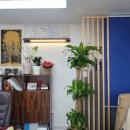 황금나무공인중개사사무소 이미지