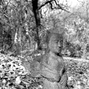 서정공원(서정문화공원) 이미지