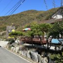 충북 괴산 가성비 애견동반펜션 ‘갈론펜션’ 금낭화룸 내돈내산 후기
