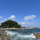 강릉경포그리고바다 이미지