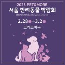 Wiz-Pet 동물병원 | 반려동물을 위한 핫플! &#39;2025 PET &amp; MORE 서울 반려동물 박람회&#39; 방문기