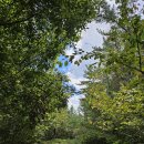 이화산등산로 이미지