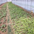 다덕파크 이미지