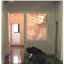 쁘띠애견 이미지