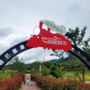 낙동강레일파크1(매표소앞) 공중화장실 | [김해 낙동강레일바이크] 부산 근교 아이랑 가볼만한 곳