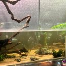 월드아쿠아 | [잠실] 아이와 함께 가기 좋은 이색 데이트 _ 아쿠아가든 카페 롯데월드몰점 솔직 후기