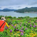 종로-종로-종로-종-202 이미지