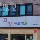 자양동물병원 이미지