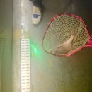 시흥드림바다 낚시터 이미지