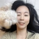 (주)중앙비젼 이미지
