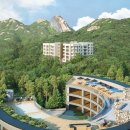 파라스파라 서울 이미지