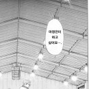 안선생