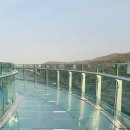 아라마루 이미지