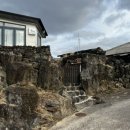 스테이 매기 이미지