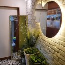 델쿠치나 이미지