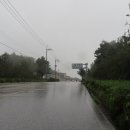 수로부인길 이미지