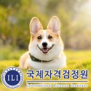 반려동물관리사자격증 이미지